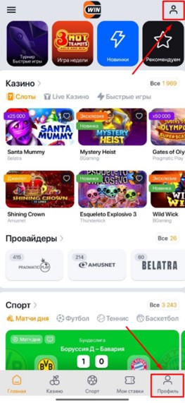 Зайдите в профиль приложения Андройд Винлайн