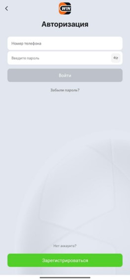 Авторизуйтесь в приложении Андройд Винлайн