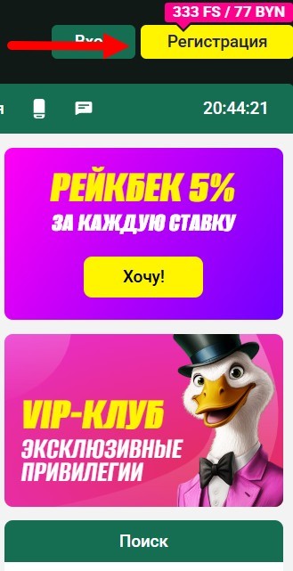Бонус 333 FS и 77 BYN на Maxline