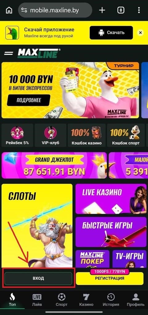 Скачать приложение Maxline для входа
