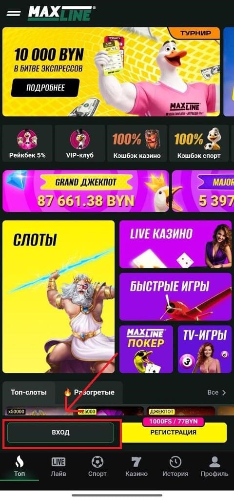 Главный экран с входом в Макслайн