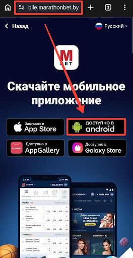 Безопасность, платежи, биометрия