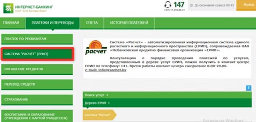 Выбрать «Система «Расчет» (ЕРИП)» и зайти в категорию «Интернет-магазины/сервисы».