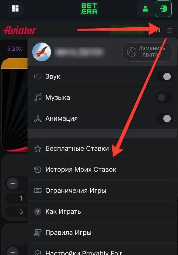 Выбрать раздел «История моих ставок».